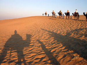 rajasthan tour package