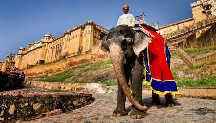 Jaipur tours sightseeing
